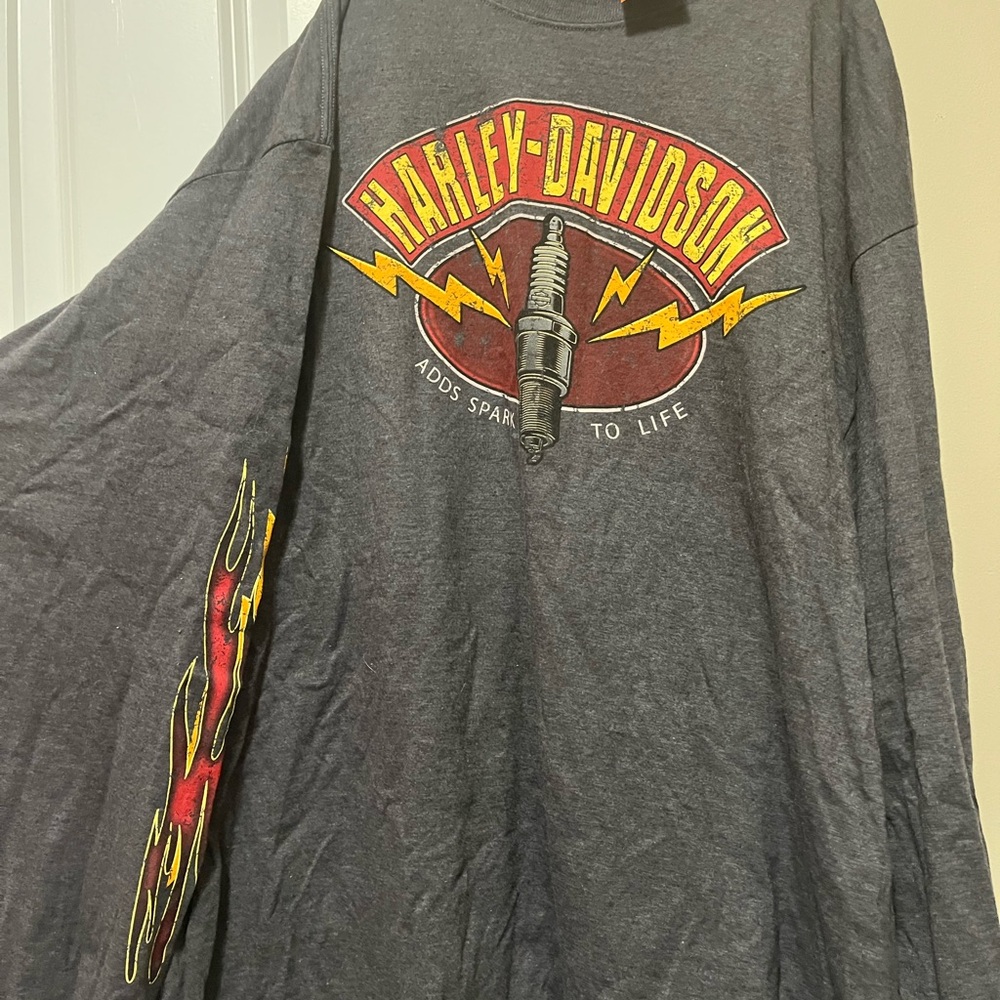 Harley-Davidson Charcoal Long Sleeve Tee with Graphic